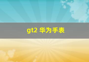 gt2 华为手表